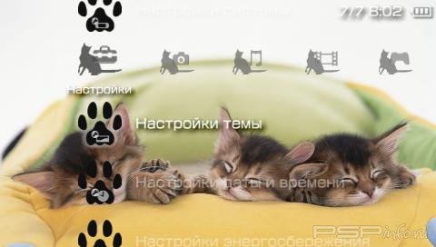  'Cats [RUS]'   PTF  PSP