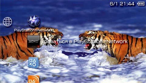  'Bengal Tigers [RUS]'   PTF  PSP