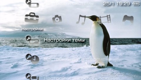  'Arctic Penguins [RUS]'   PTF  PSP