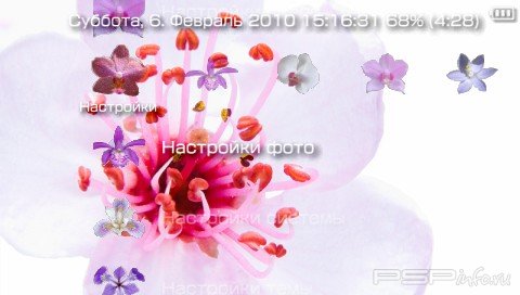  'Delicate Flowers [RUS]'   PTF  PSP